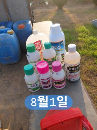 나성주님의 기타작물 · 영농일지 작성글 사진