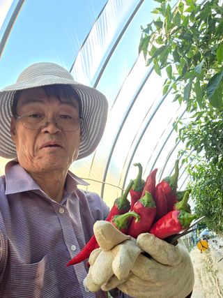 김영철님의 기타작물 · 영농일지 작성글 사진