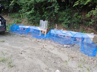 발해인님의 기타작물 · 영농일지 작성글 사진