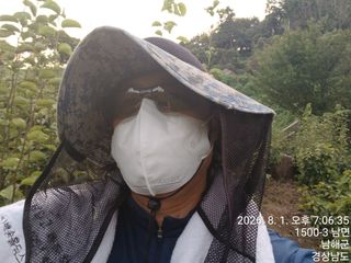 최강식님의 배 · 영농일지 작성글 사진