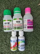 팜모닝 사과·영농일지 게시글 이미지