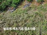 수랏간 농원 안승호님의 작성글 사진