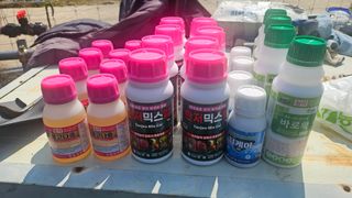 김병수님의 사과 · 영농일지 작성글 사진