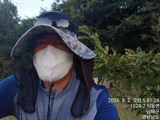 최강식님의 두릅 · 영농일지 작성글 사진