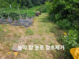 수랏간 농원 안승호님의 작성글 사진