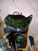 백영호님의 작성글 사진