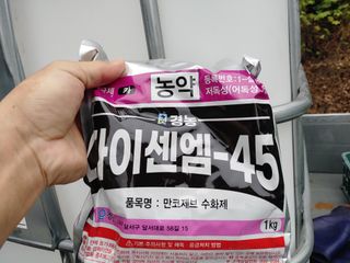 단감당감님의 감 · 영농일지 작성글 사진
