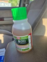팜모닝 고추·영농일지 게시글 이미지