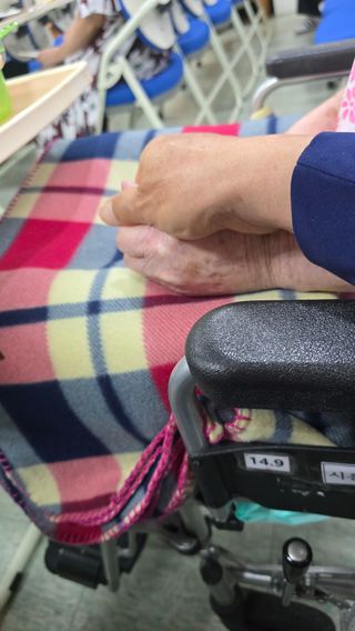축복의땅 에덴동산님의 기타작물 · 영농일지 작성글 사진