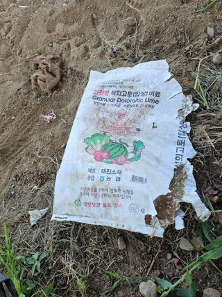 작은세우님의 배추 · 영농일지 작성글 사진