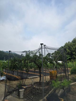 낙원101님의 기타작물 · 영농일지 작성글 사진