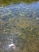 홈 갤러리 이미지
