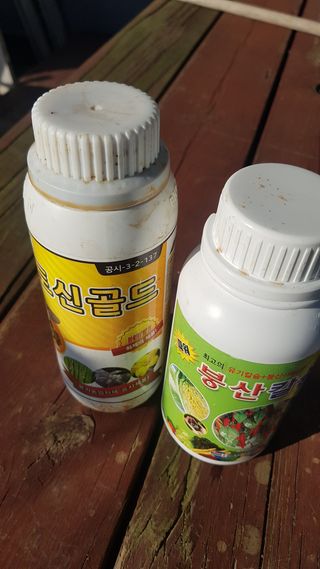 최춘득 청대산 님의 고추 · 영농일지 작성글 사진