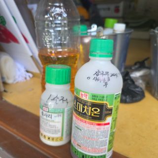 오케바리(옥경종)님의 감 · 영농일지 작성글 사진