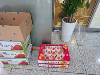 철남 김희곤님의 복숭아 · 영농일지 작성글 사진