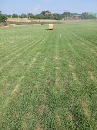 최유순님의 참깨 · 영농일지 작성글 사진