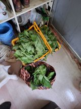 백영호님의 작성글 사진