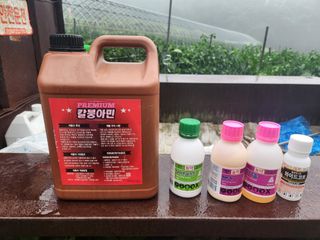 최미선님의 고추 · 영농일지 작성글 사진