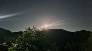 김동명님의 기타작물 · 영농일지 작성글 사진