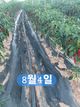 홈 갤러리 이미지