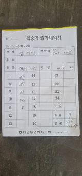 팜모닝 복숭아·영농일지 게시글 이미지