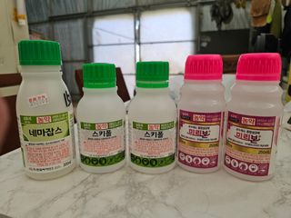 김상엽님의 딸기 · 영농일지 작성글 사진