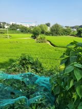 최병우님의 작성글 사진