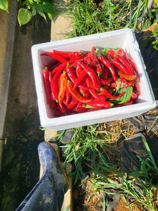 최병우님의 작성글 사진