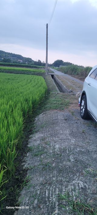 김상진님의 기타작물 · 영농일지 작성글 사진