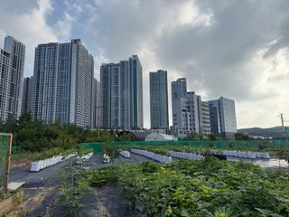 베리의정원님의 기타작물 · 영농일지 작성글 사진