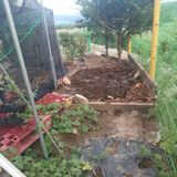 正覺님의 작성글 사진
