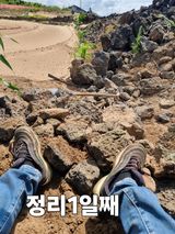 팜모닝 기타작물·영농일지 게시글 이미지