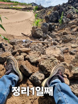 안성진님의 기타작물 · 영농일지 작성글 사진