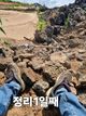 홈 갤러리 이미지
