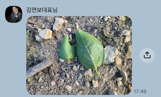 The농원님의 작성글 사진