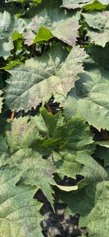이화주님의 작성글 사진