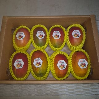 최근만님의 기타작물 · 영농일지 작성글 사진