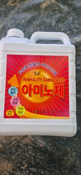 이화주님의 작성글 사진