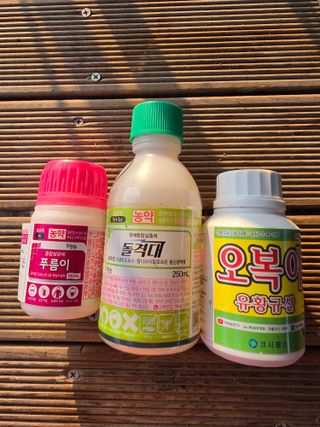 최영희님의 기타작물 · 영농일지 작성글 사진