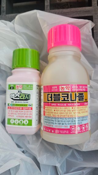kkk님의 기타작물 · 영농일지 작성글 사진