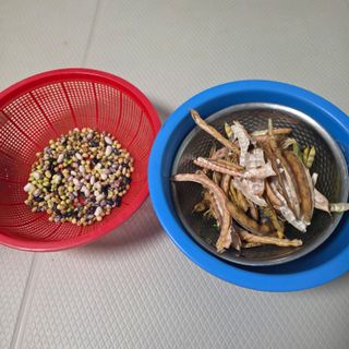 오케바리(옥경종)님의 콩 · 영농일지 작성글 사진