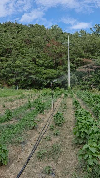 주말농 젠바님의 기타작물 · 영농일지 작성글 사진