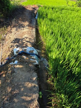 공주 음나무 농장님의 작성글 사진
