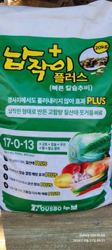 팜모닝 오이·영농일지 게시글 이미지