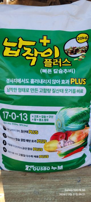 로즈마리님의 오이 · 영농일지 작성글 사진
