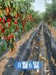 홈 갤러리 이미지
