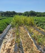 최종태님의 작성글 사진