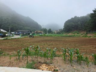 강정아님의 사과 · 영농일지 작성글 사진