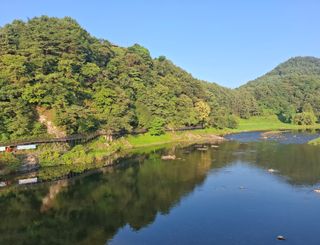 철남 김희곤님의 복숭아 · 영농일지 작성글 사진
