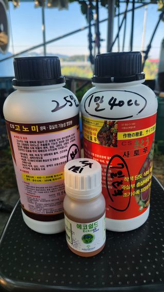 최율구님의 포도 · 영농일지 작성글 사진